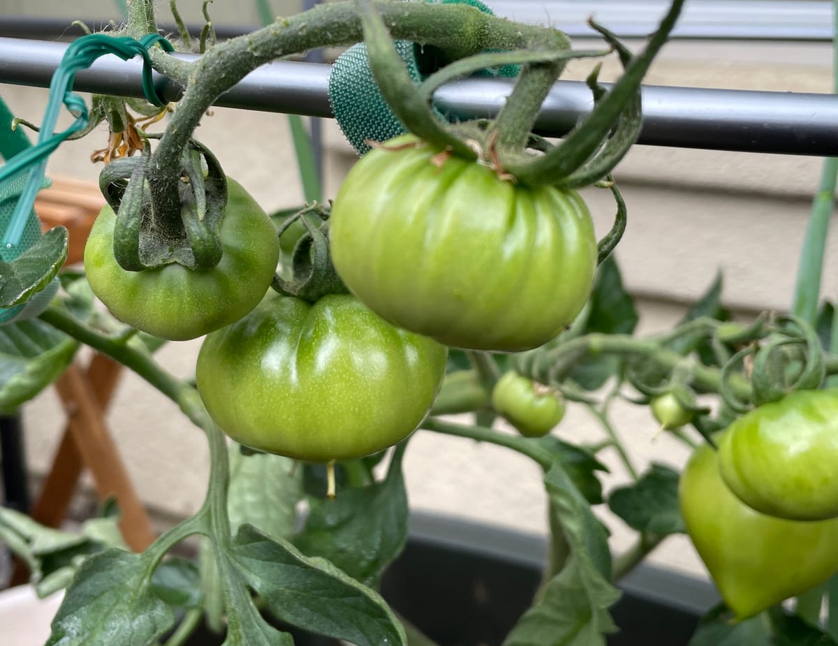 You can’t checkbox your way to healing