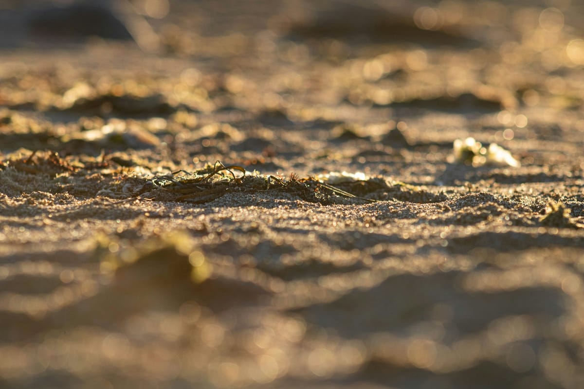 Prioritizing Purpose